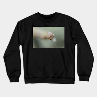 I see you Crewneck Sweatshirt